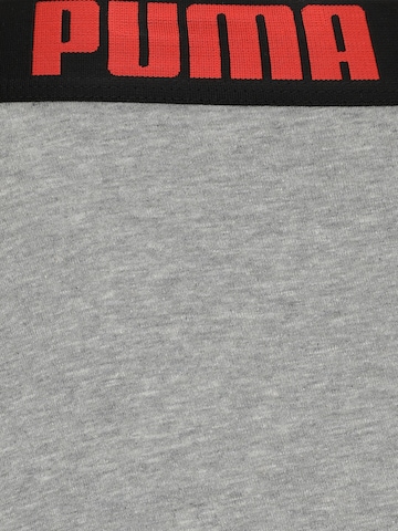 Boxeri 'EVERYDAY' de la PUMA pe gri