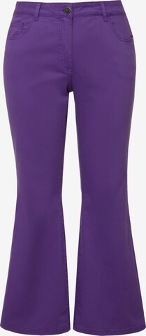 Angel of Style Flared Jeans in Purple: front