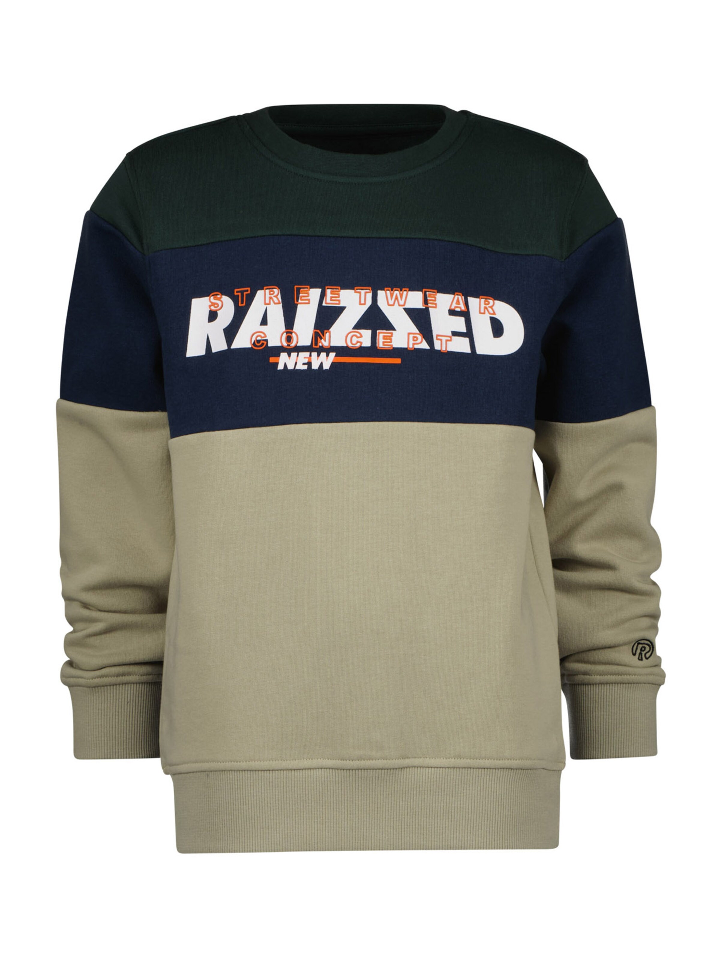 Raizzed Sweatshirt NOTHAM in Fir ABOUT YOU