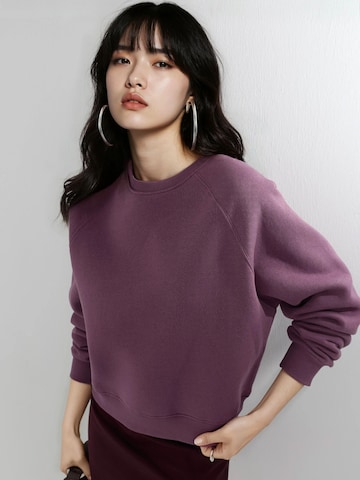 Busem Sweatshirt in Lila