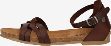 COSMOS COMFORT Sandalen met riem in Bruin