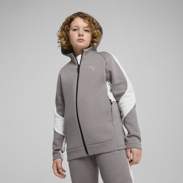 Veste de survêtement 'Evostripe' PUMA en gris : devant