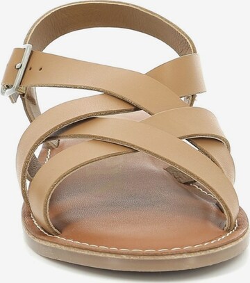 Kickers Sandalen met riem in Bruin