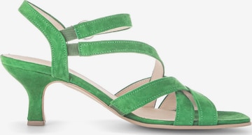 GABOR Strap Sandals in Green