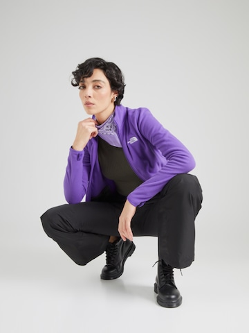 THE NORTH FACE tavaline Spordipüksid 'DESCENDIT', värv must