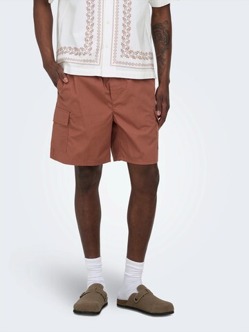 Only & Sons - Regular Calças cargo 'ONSKAL' em castanho: frente