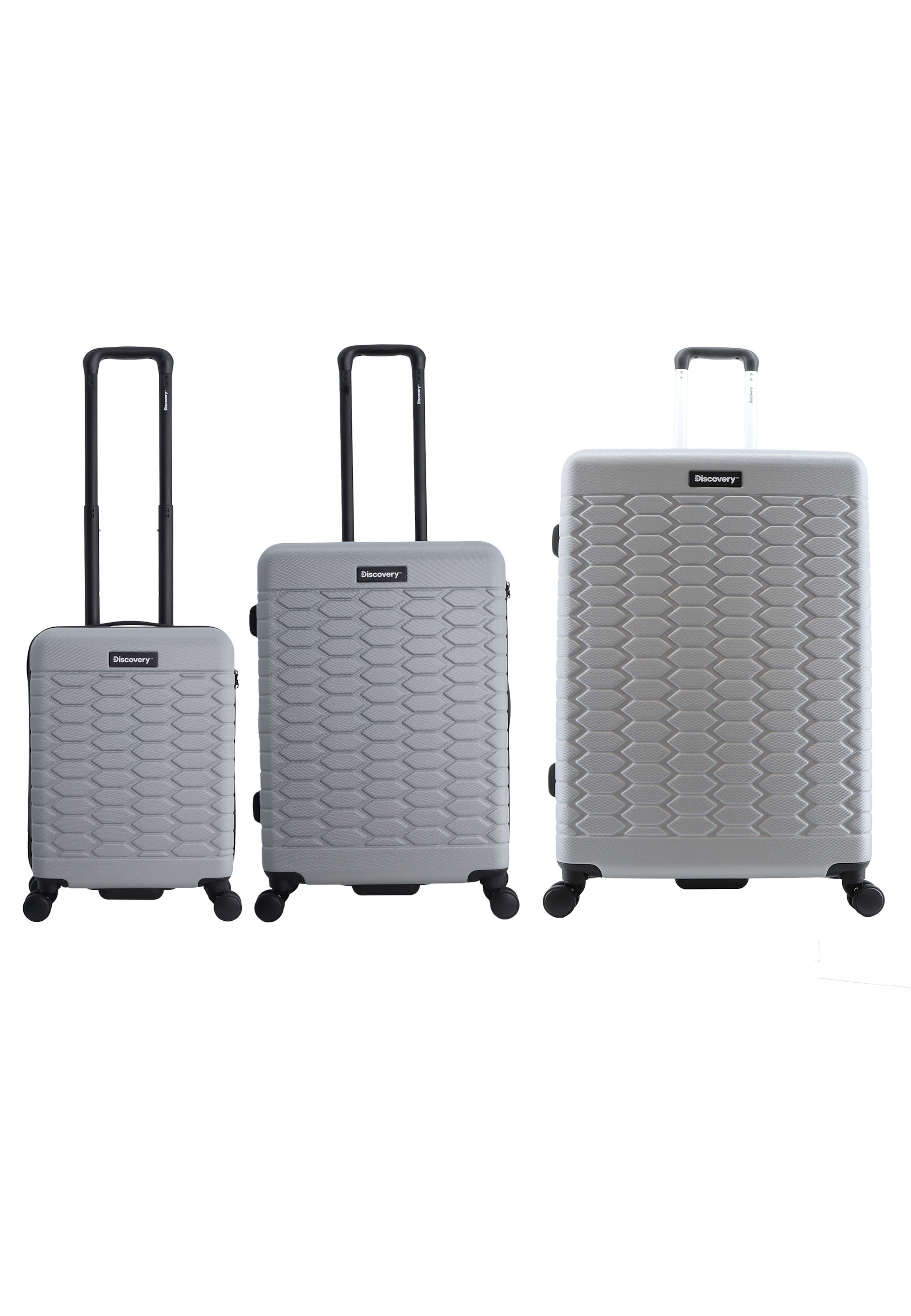 Discovery Suitcase Set 'REPTILE' in Silver: front