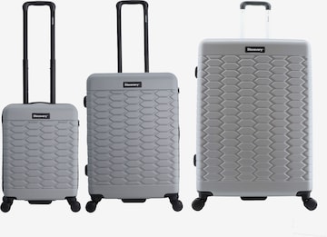 Discovery Suitcase Set 'REPTILE' in Silver: front