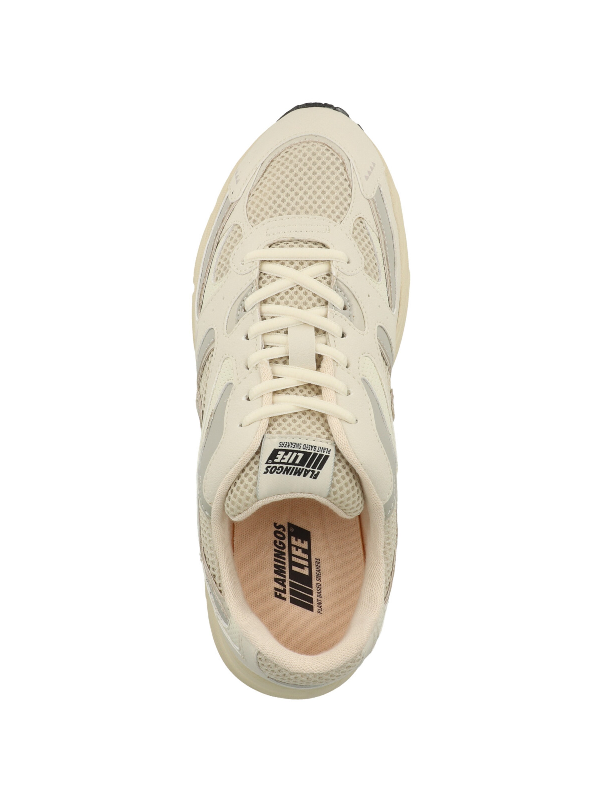 Baskets basses ' Wairoa ' Flamingos Life en beige