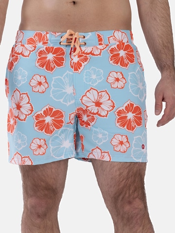 Shorts de bain Frozen Cape en bleu : devant