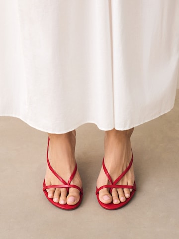 Next - Sandalias de dedo 'Forever Comfort' en rojo