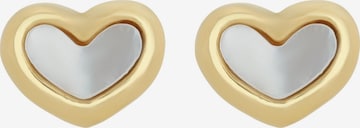 Akzent Earrings 'Candela, langlebig' in Gold: front