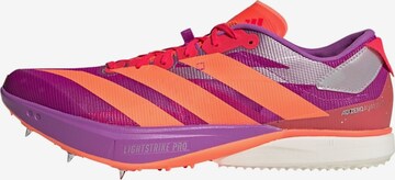 Chaussure de course ' Adizero Avanti XC ' ADIDAS PERFORMANCE en violet : devant