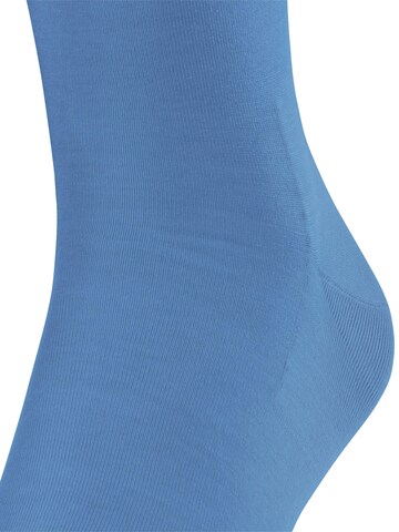 FALKE Knee High Socks 'ClimaWool' in Blue
