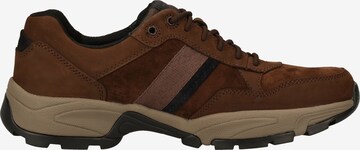 Pius Gabor Sneakers in Brown