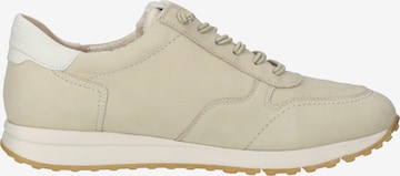 Sneaker bassa di Paul Green in beige