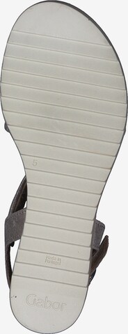 GABOR Sandals in Grey