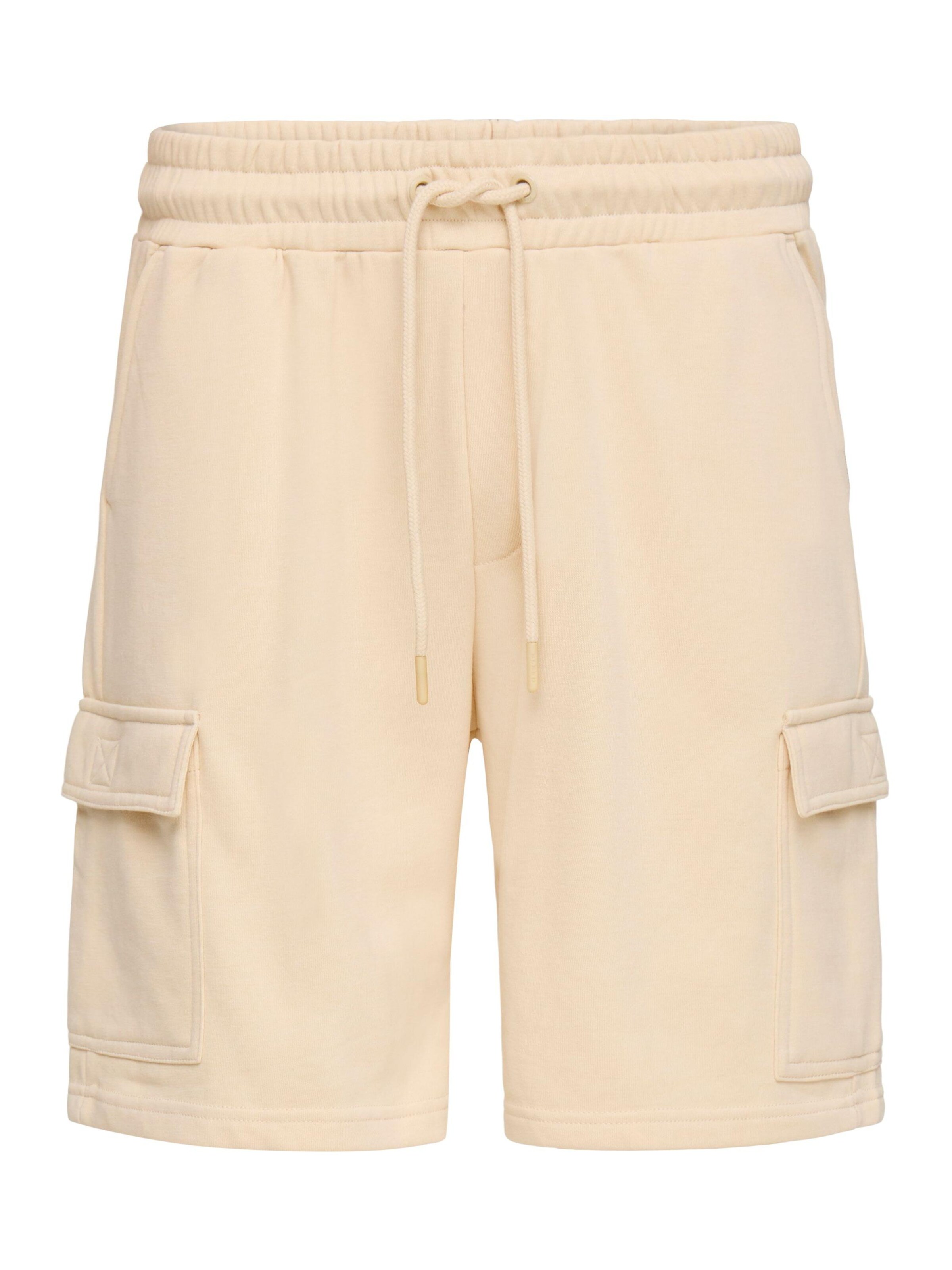 BLEND - regular Pantalón cargo ' BHKarlos Sweat Cargo ' en beige: frente