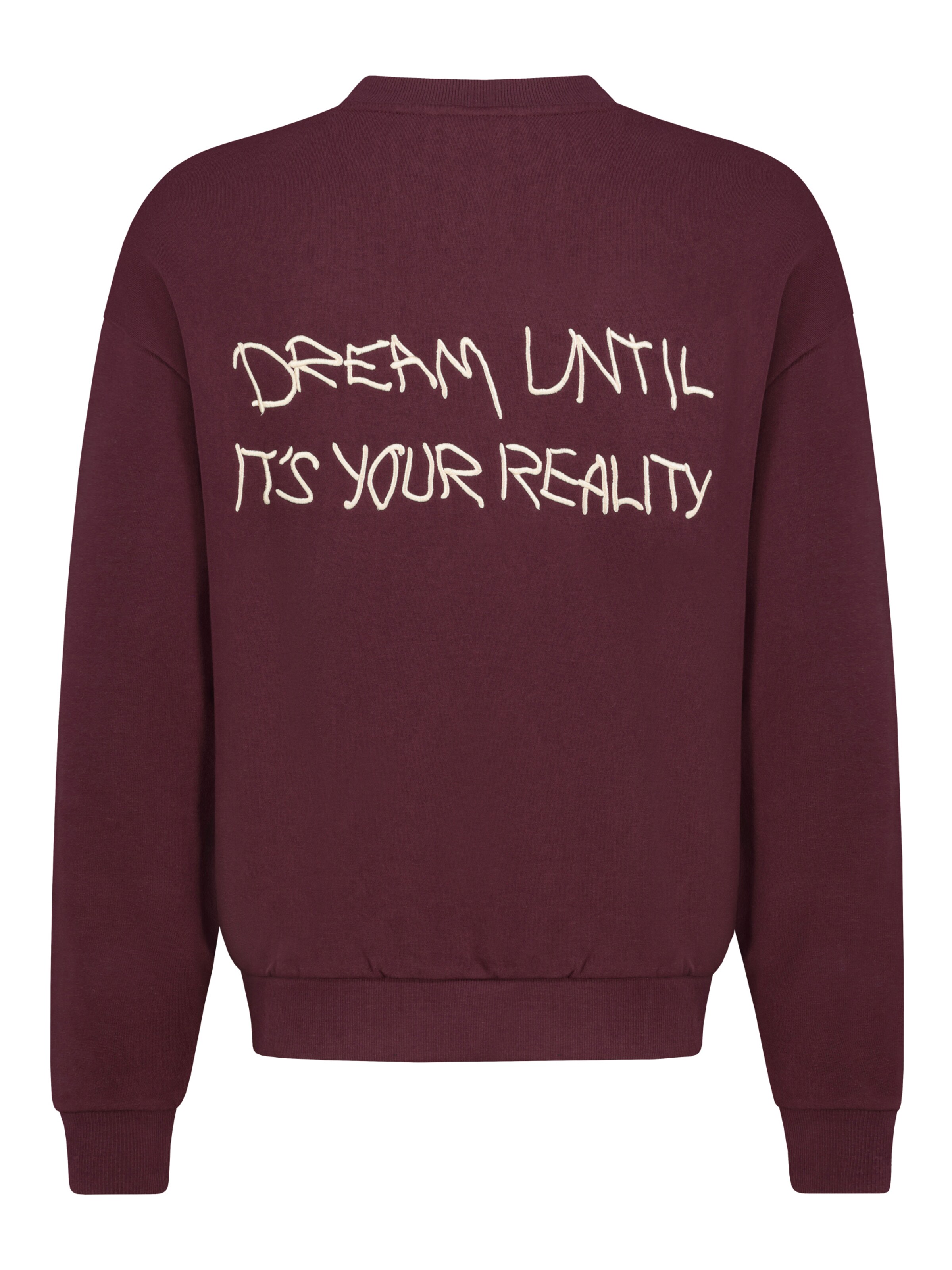 Sublevel Sweatshirt in Rood