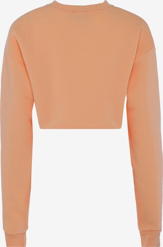 NALLY Sweatshirt in Oranje