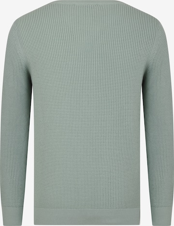 DENIM CULTURE Sweter 'Alijan' w kolorze zielony