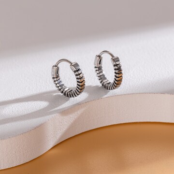 FIRETTI Earrings in Grey