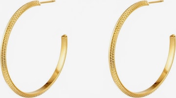 Cala Rose Ohrringe 'DIAMOND' in Gold: Vorderseite