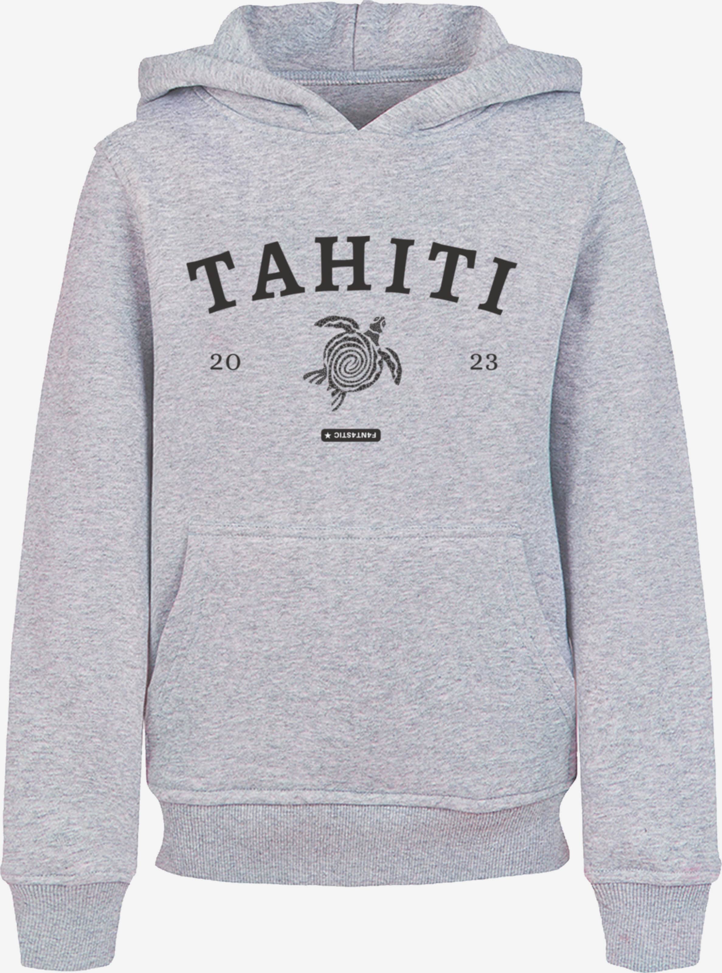 F4NT4STIC Sweatshirt 'Tahiti' in Mottled Grey | ABOUT YOU