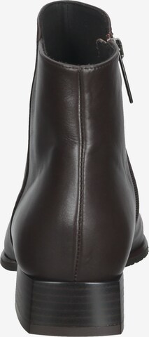 PETER KAISER Ankle Boots in Braun