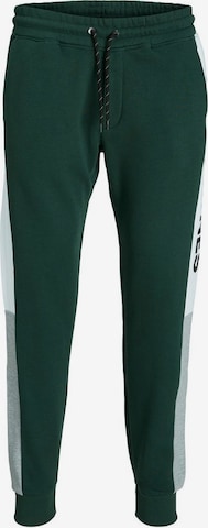 JACK & JONES Workout Pants in Green: front