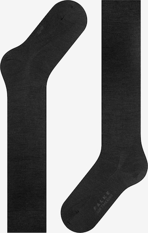 FALKE Knee High Socks 'Softmerino' in Black: front