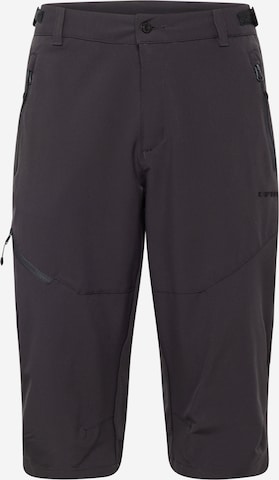 Regular Pantalon outdoor 'BALLARD' ICEPEAK en gris : devant