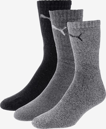 PUMA Socks in Grey: front