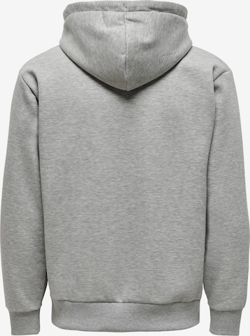 Only & Sons Regular Fit Sweatshirt 'Ceres' in Grau