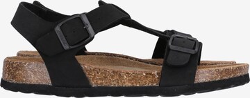 Cruz Sandals 'Diako' in Black