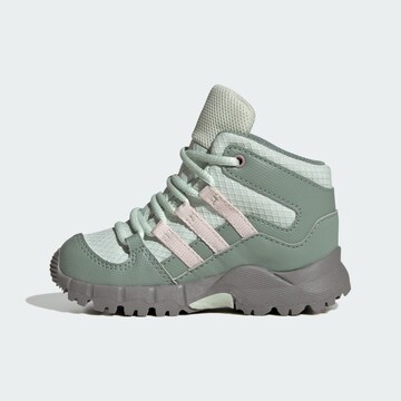 ADIDAS TERREX Ботинки в Зеленый