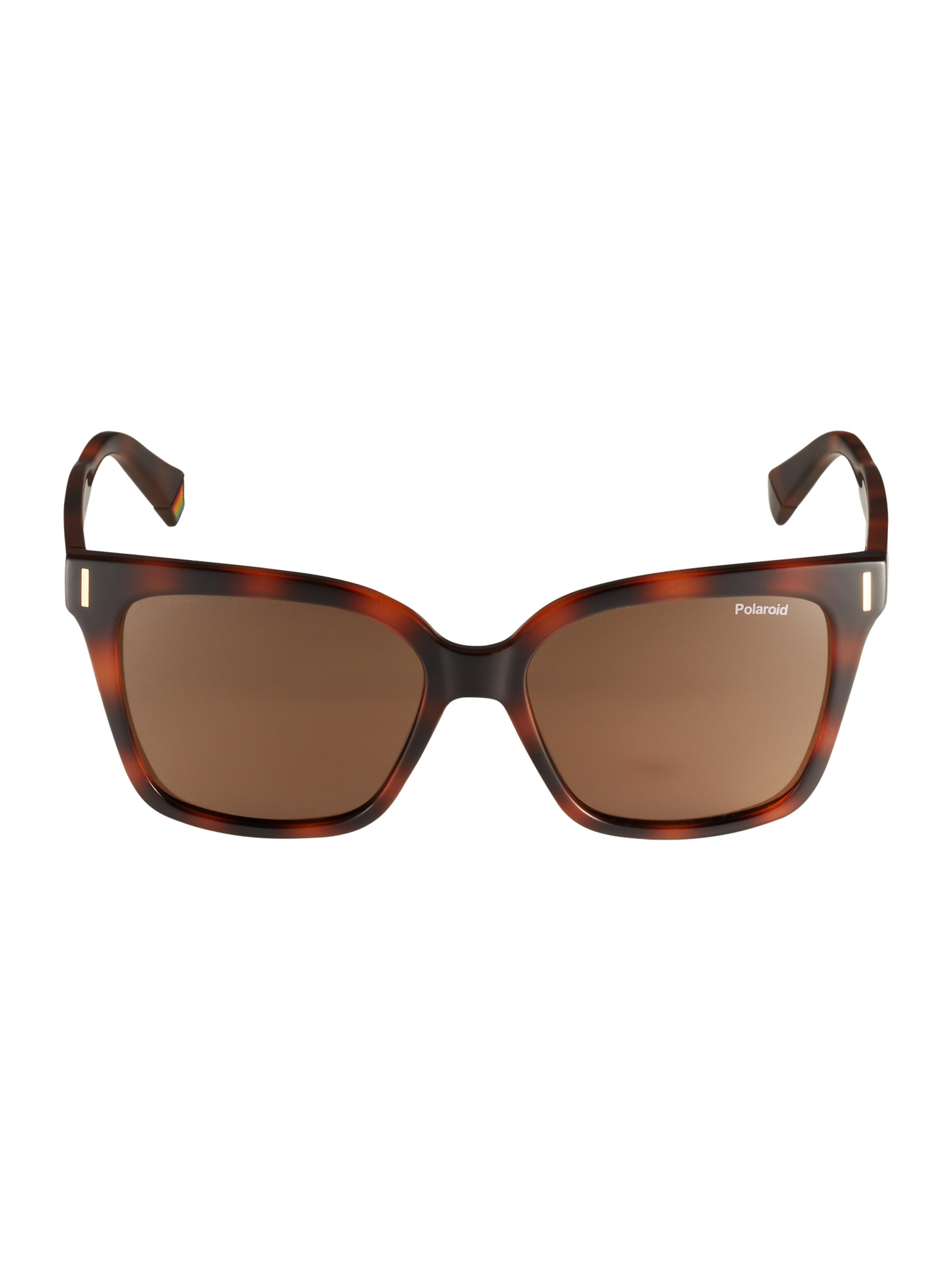 Polaroid Sunglasses '6192/S' in Brown