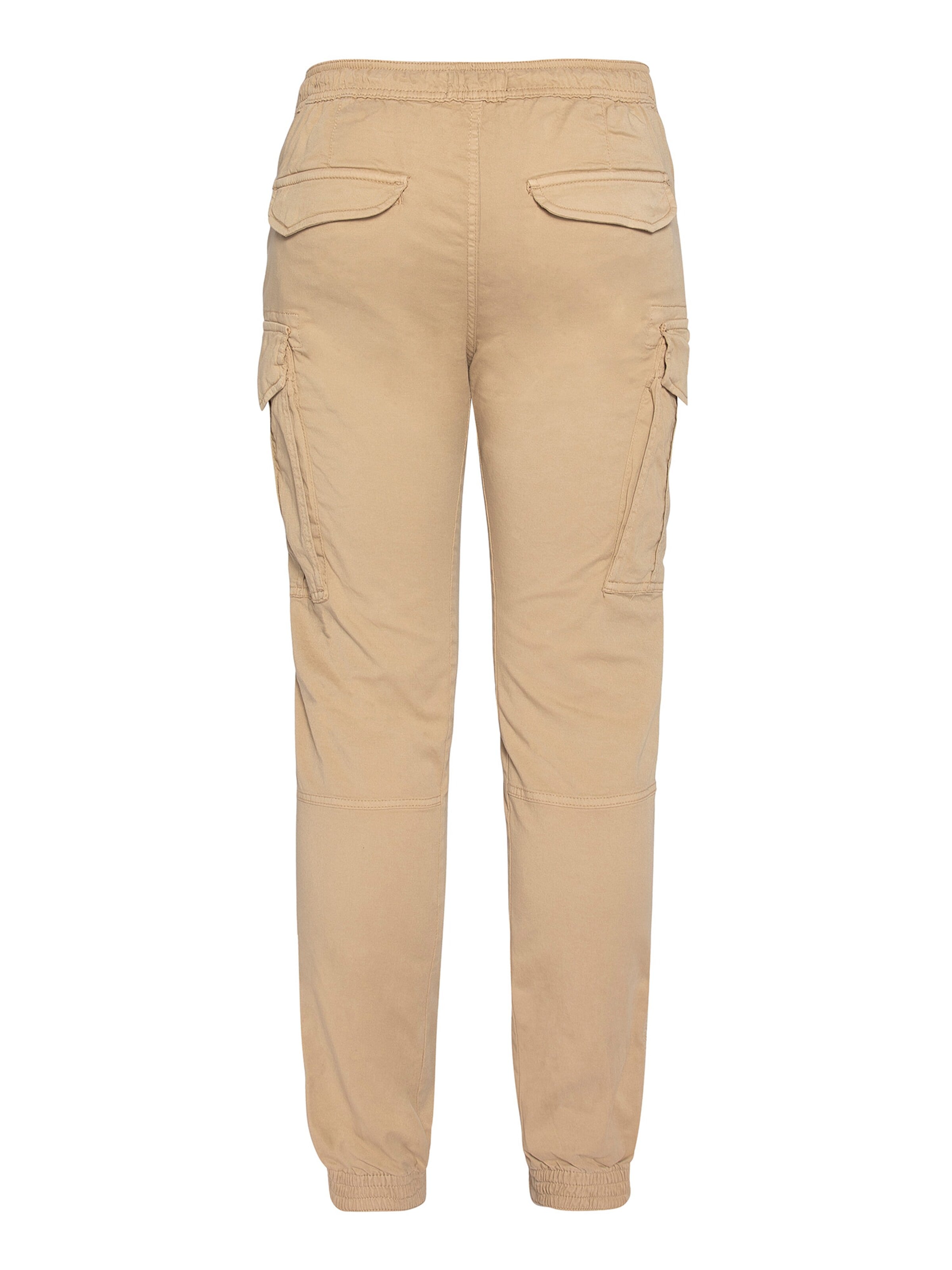 Schott NYC Regular Cargo Pants in Beige