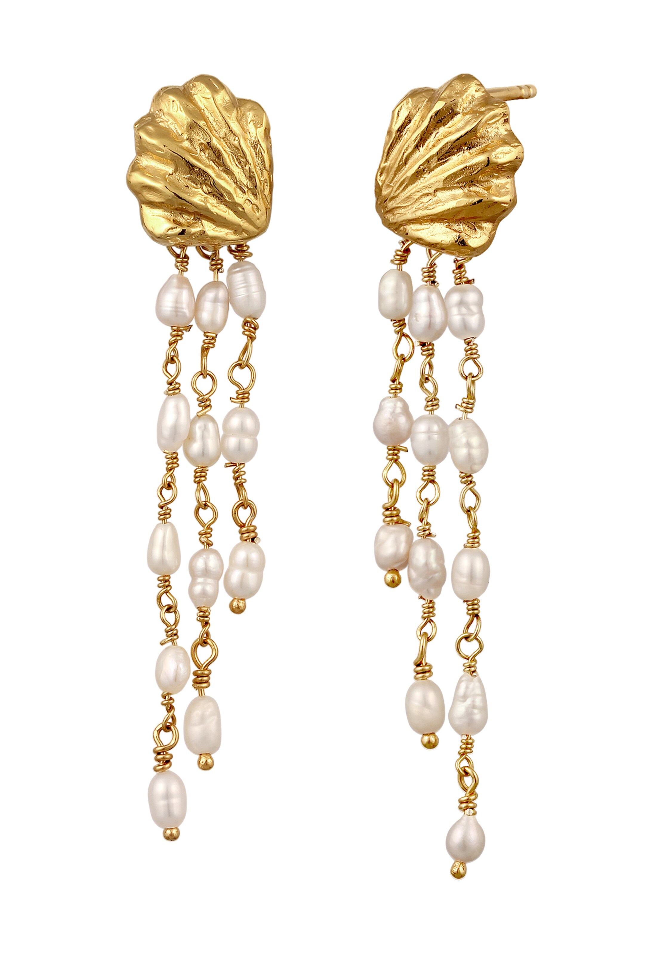 Haze&Glory Ohrringe 'Muschel' in Gold: Vorderseite