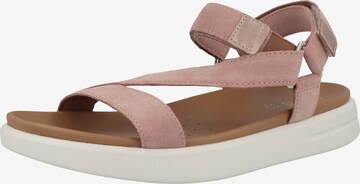 GEOX Sandalen met riem in Roze: voorkant