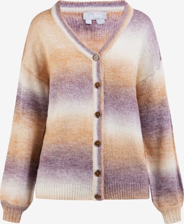 Usha Knit cardigan in Mixed colours: front