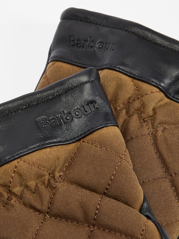 Mezzoguanti 'Dalegarth' di Barbour in verde
