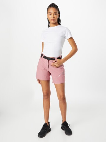 Regular Pantalon de sport 'Melodic Pro' DARE2B en rose : devant
