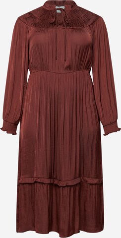 Robe 'Carin' Guido Maria Kretschmer Curvy en marron : devant