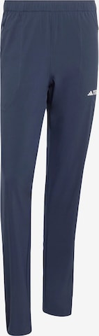 ADIDAS TERREX - Pantalón de montaña 'Essentials' en azul: frente