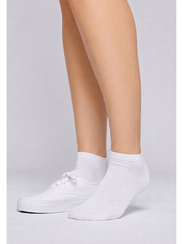 Calza velata di Betty Barclay in bianco