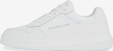 Baskets basses Calvin Klein Jeans en blanc : devant