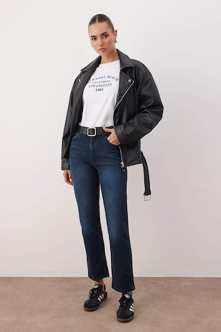 Trendyol Regular Jeans in Blauw