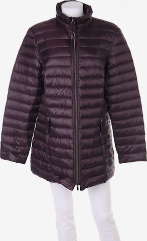 BONITA Jacket & Coat in XL in Purple: front