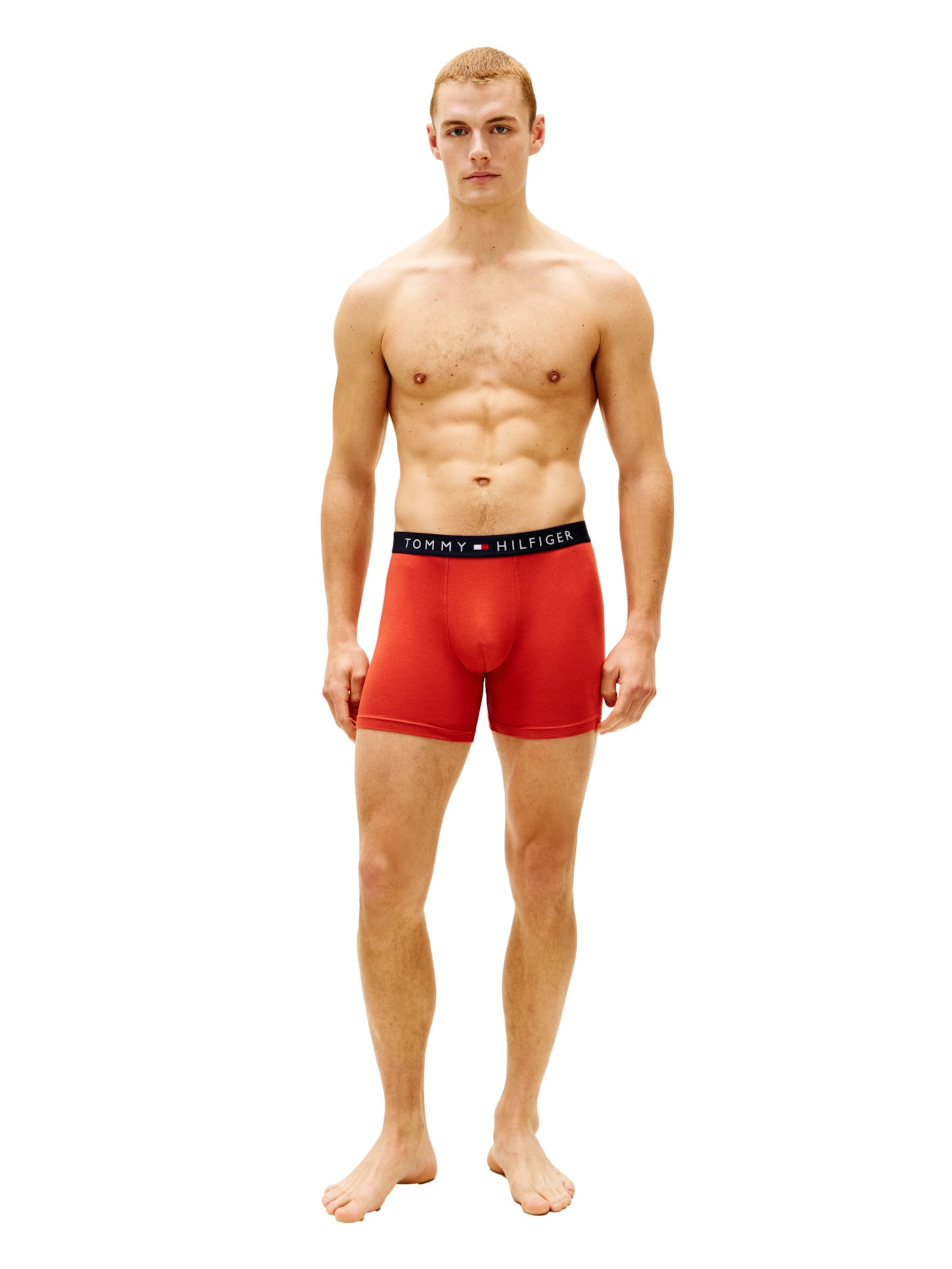 Boxers TOMMY HILFIGER en mélange de couleurs
